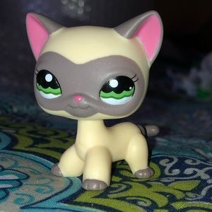 Littlest pet shop cat. See description.